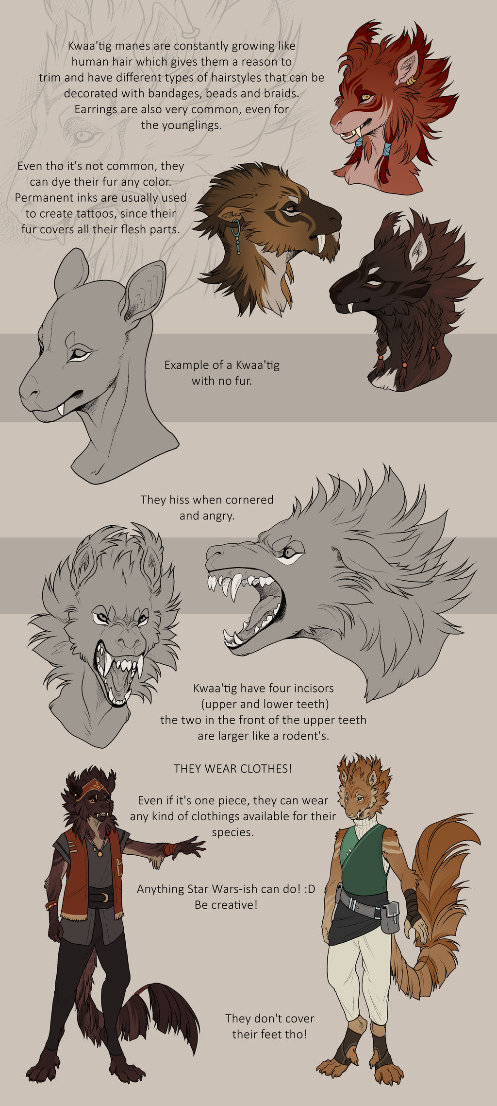Kwaa'tig Guide 3