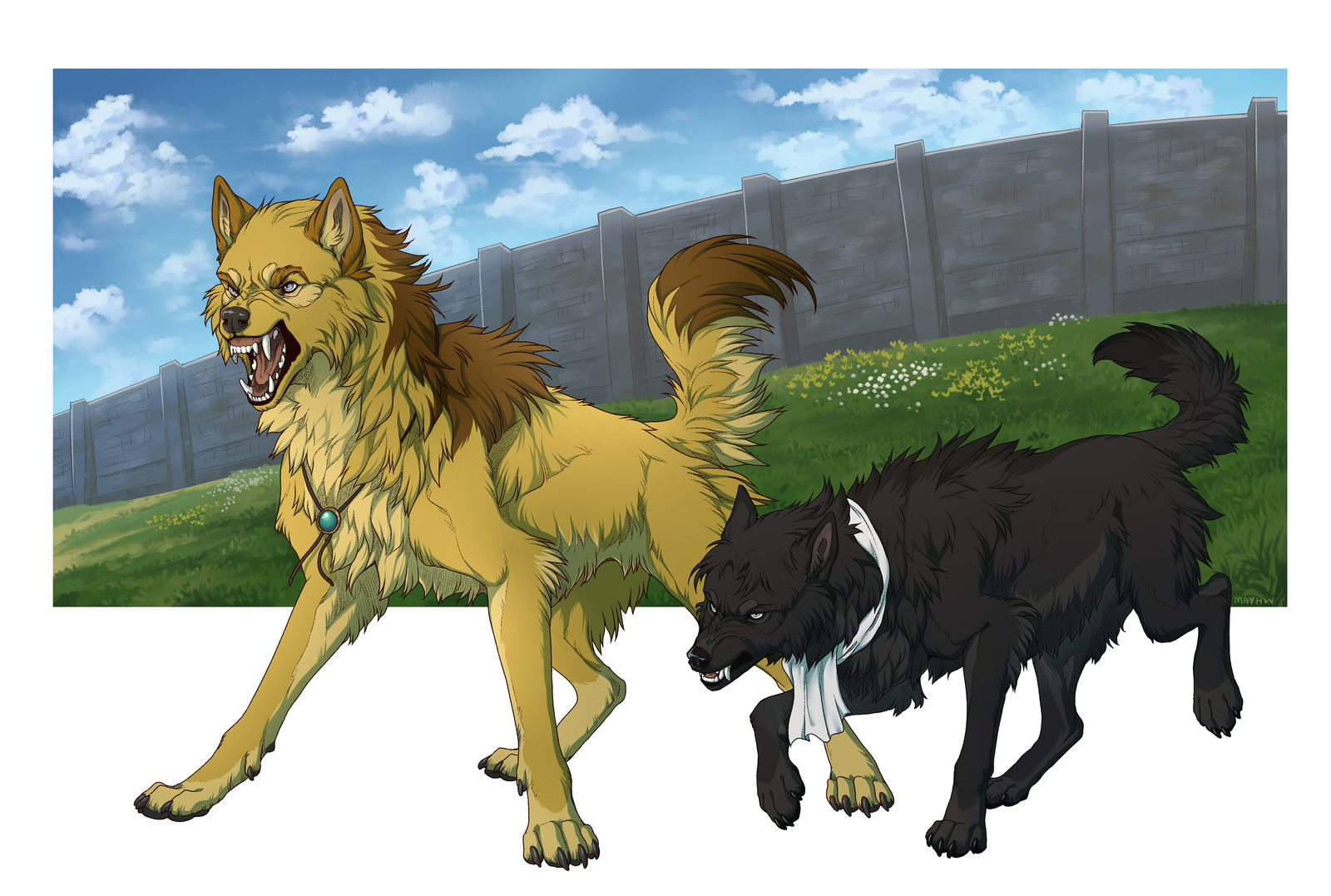 CM - Commander and Captain