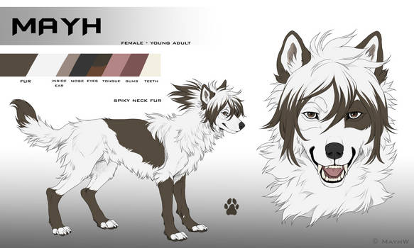 Mayh Reference Sheet 2021