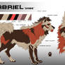 Gabe Reference Sheet 2021