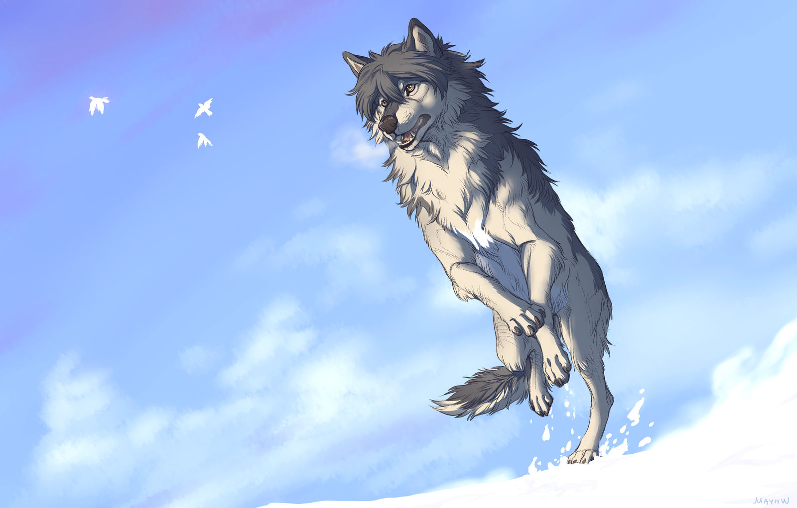 Redraw - Ame