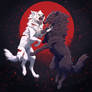 Kiba Vs Darcia 2023