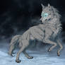YCH - Skoll