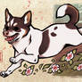 CM - Okami CJ