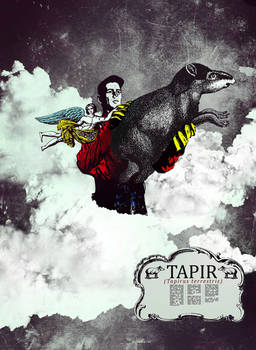 Tapir the Kosmos Edition