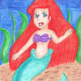 Ariel