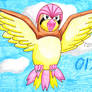 017 Pidgeotto