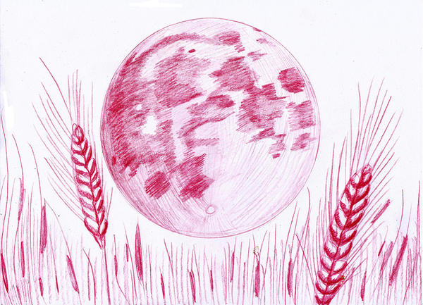 Harvest Moon