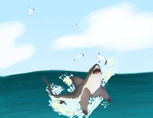 Great White shark Jump