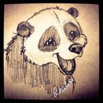 Happy Panda by fuzzypinkmonster