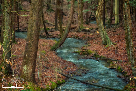 Mountain Stream