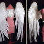 White Angel Wings