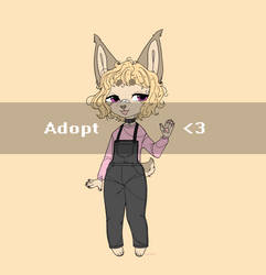 ADOPT OPEN 10-30$