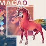 KP | Macao