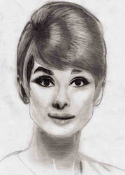 Audrey Hepburn