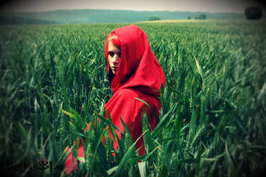 Red Riding Hood 2