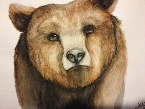 Watercolor bear :3