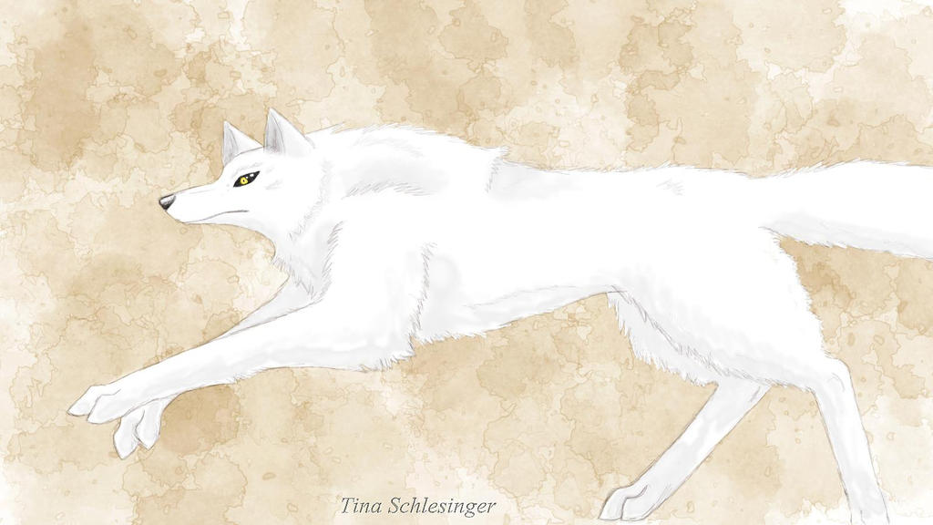 White Wolf by RavanaArt on DeviantArt