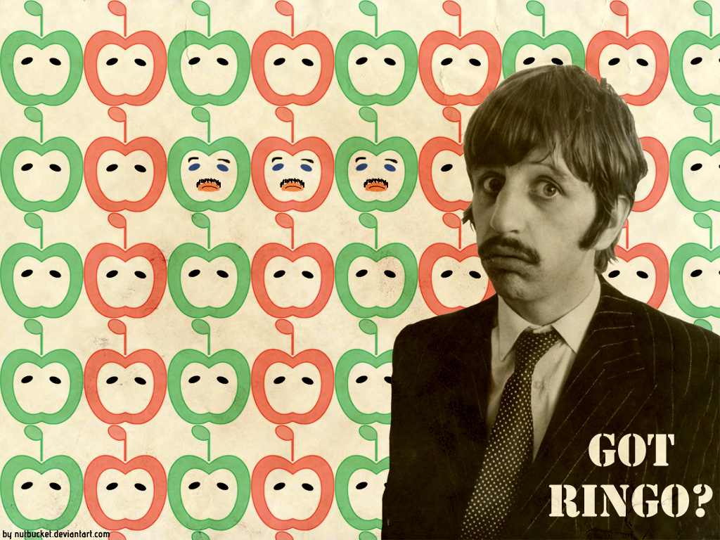 got ringo? wallpaper