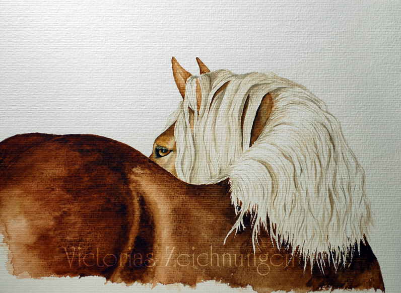 Draft Horse - watercolor