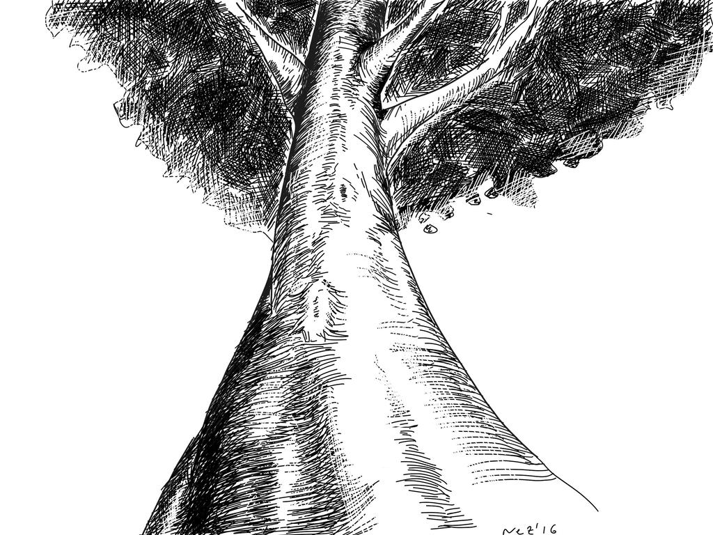 Ink tree by Neznayer on DeviantArt