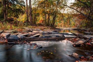 Fall Has Come to Sweetwater