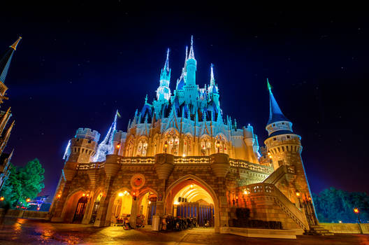 Cinderella's Castle and The Stars