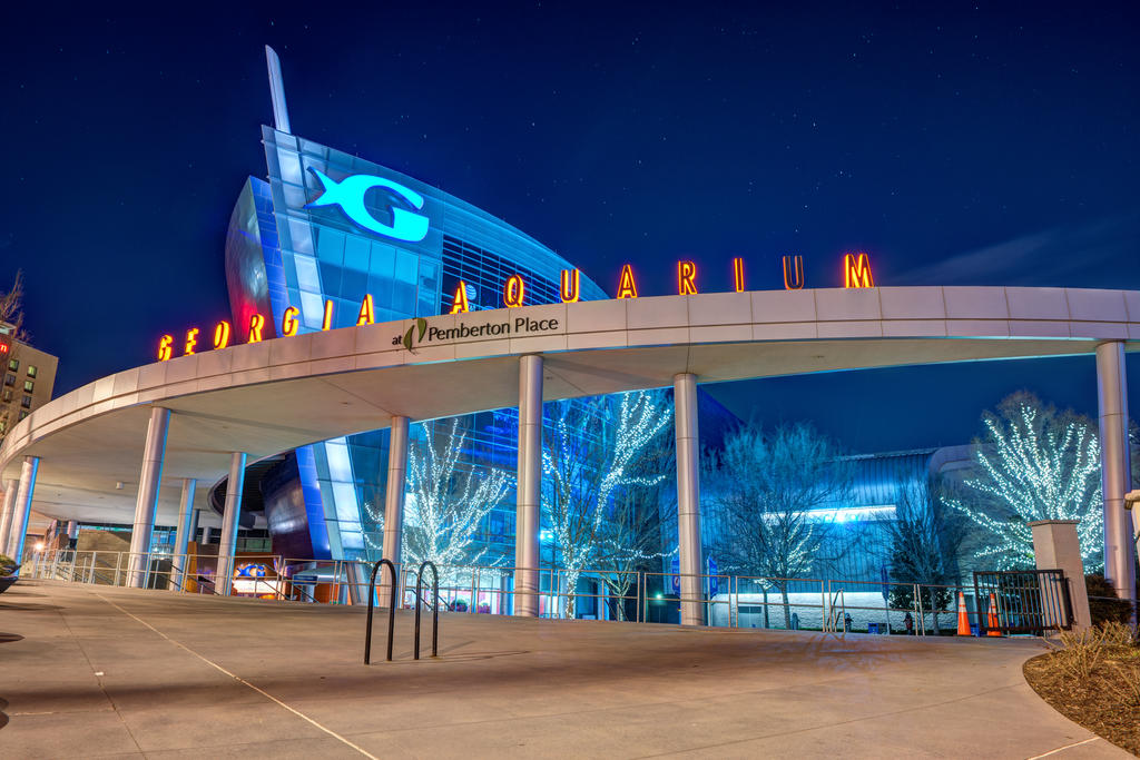 Georgia Aquarium and the Stars