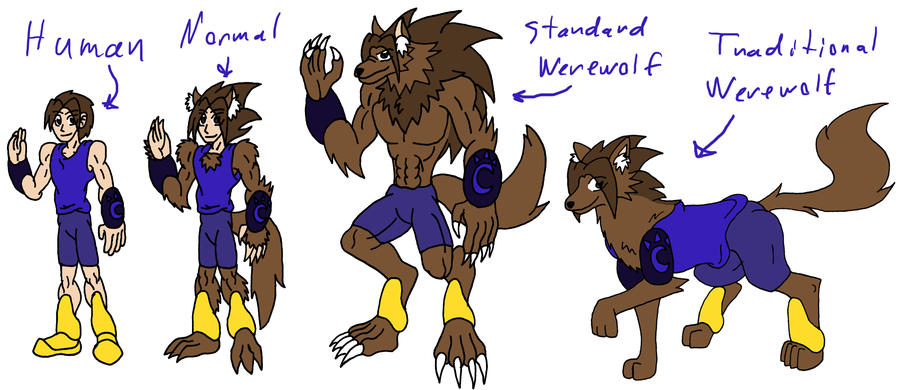 SoraWolf Werewolf Forms by SoraWolf7 on DeviantArt
