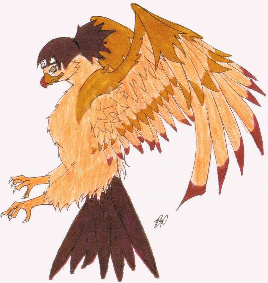 Anko Eagle