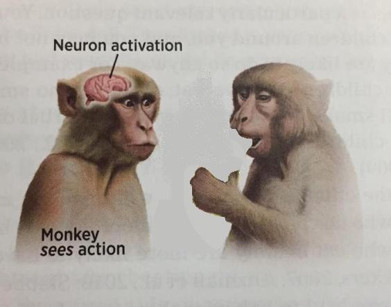 Nenmo79m7et51