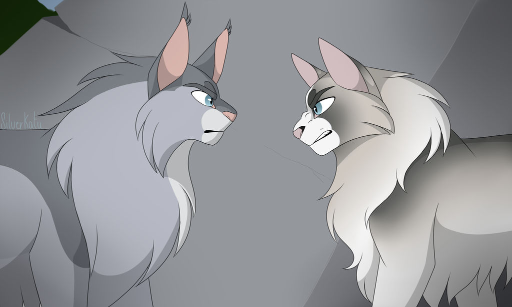 Realistic Rivals Cat Rivals by Catreaa on DeviantArt