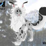 Whitestar from Mountainclan [1/4]