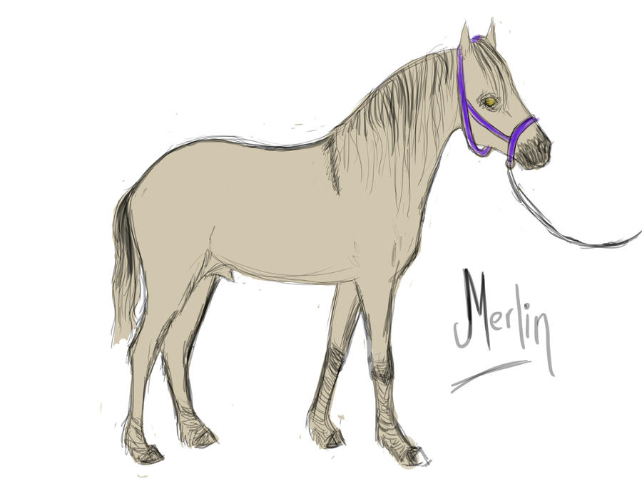 SRPG: Merlin
