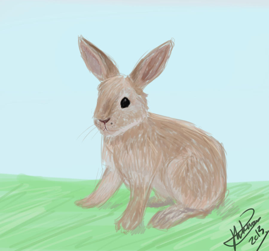 Bunny Speedpaint - Day 27