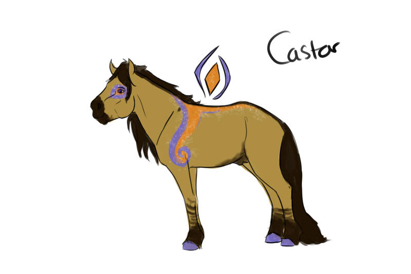 Castor