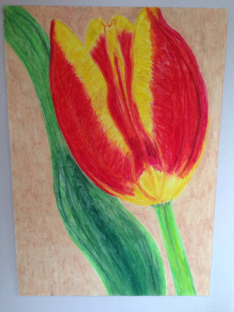 Oil Pastel Drawing / Drawing Tulip 🌷 with an oil pastel 