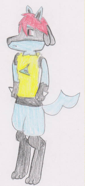 Andrew the lucario