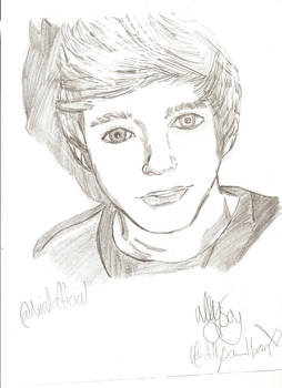 Niall Horan try #3