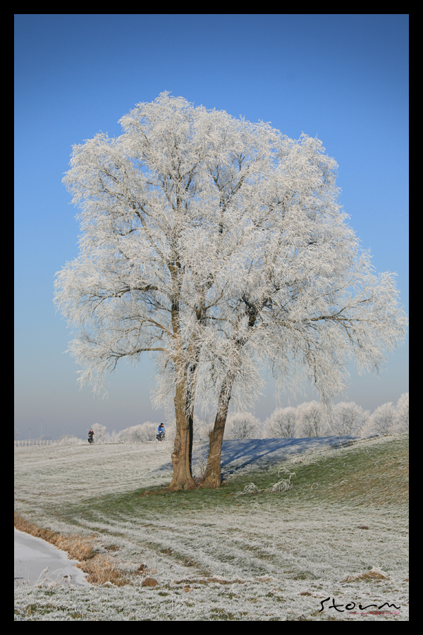 Winter landscape jan 2009 v9