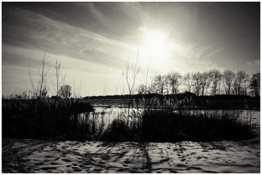 a walk in the fresh snow