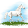 White Horse