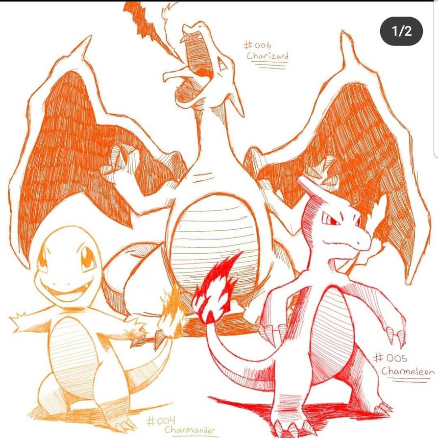 Charmander Evolution Animation Charmander Evolution Sketch by Caotime on DeviantArt