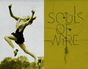 souls of wire