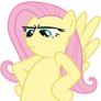 Fluttersrs