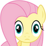 Flutterwhoa