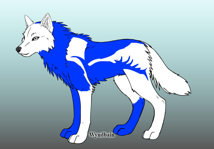 Blu Toon Huski/Big Blu Huski Wolf Form