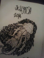 Jellyfish sketches 2014