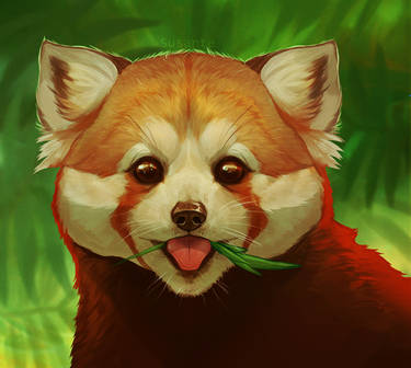 Explore the Best Red_panda Art | DeviantArt