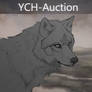 YCH-Auction CLOSED